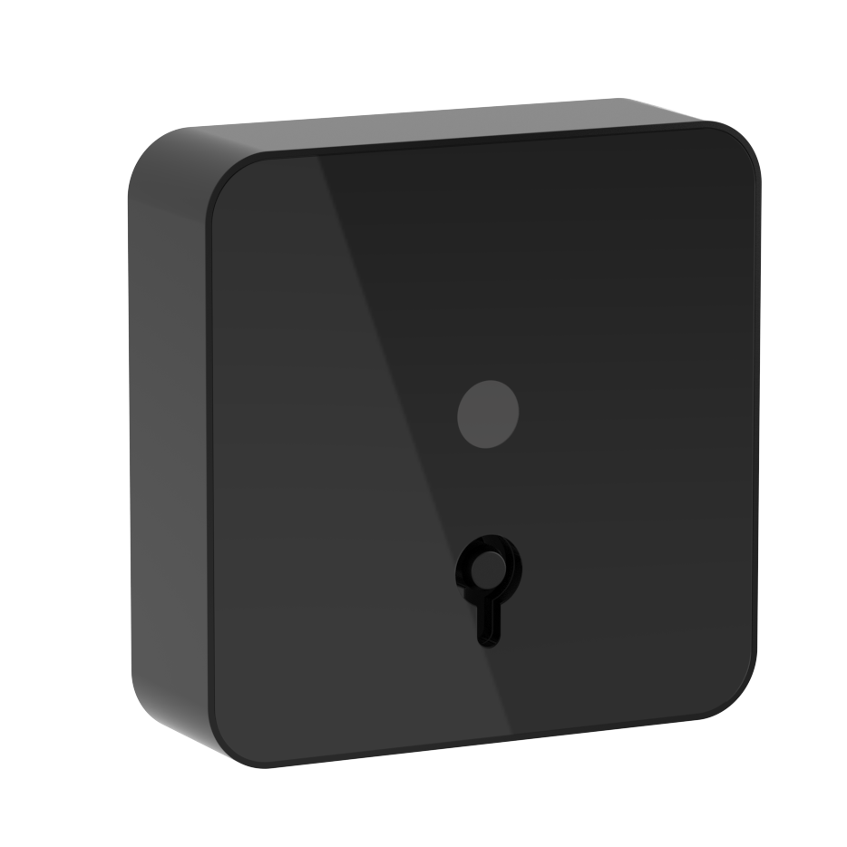 Nyckelbrytare IQ Svart 4 färgs LED