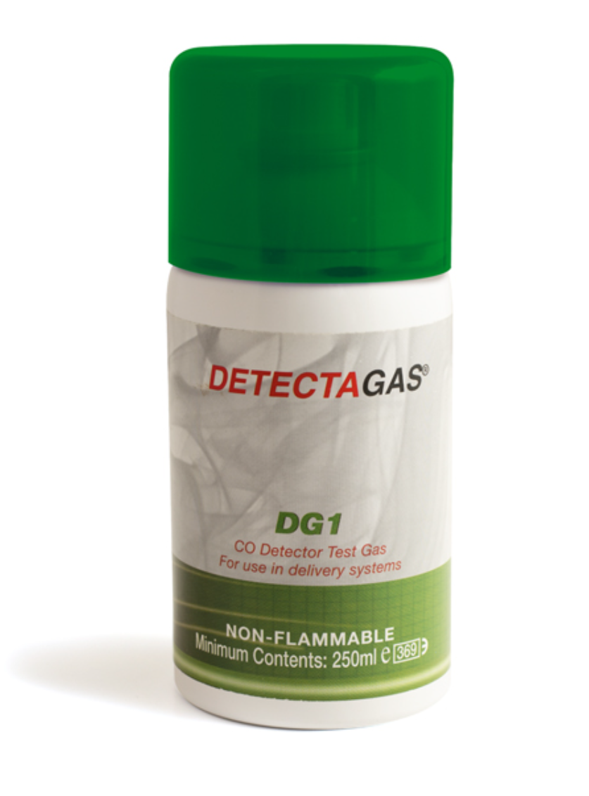 Testgas CO - DetectaGas 250 ml Aerosol